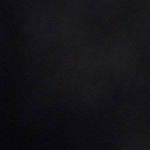 Meet your Posher, Regan